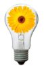 Lightbulb with Flower