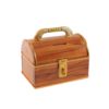 Money Storage Chest